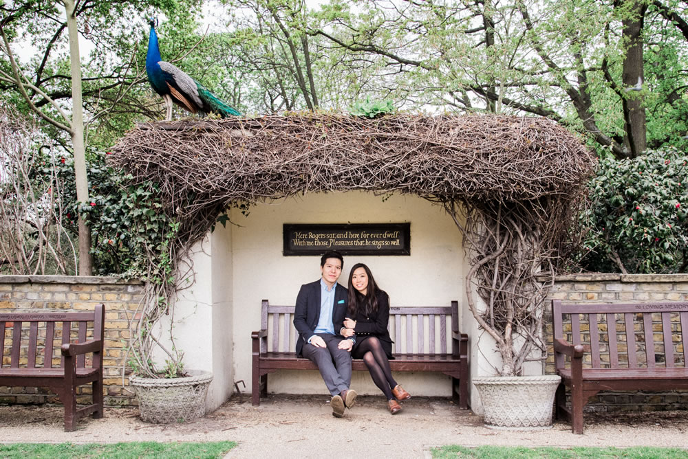 Couple sat on bench with peacock stood on overhang