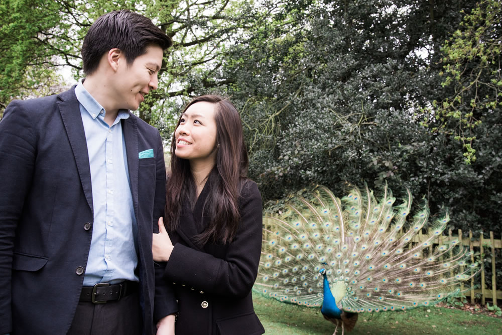 Couple looking at each other with peacock in the background