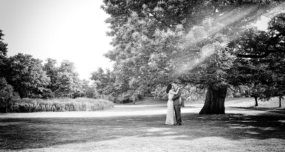 Bride and groom under tree